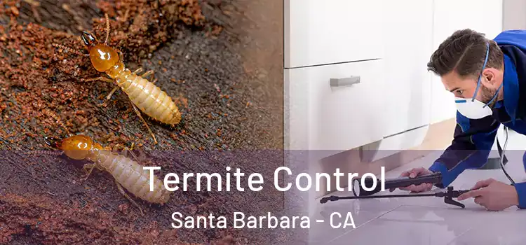 Termite Control Santa Barbara - CA
