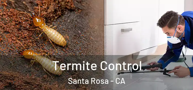  Termite Control Santa Rosa - CA