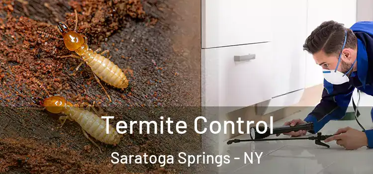  Termite Control Saratoga Springs - NY
