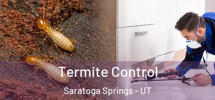  Termite Control Saratoga Springs - UT