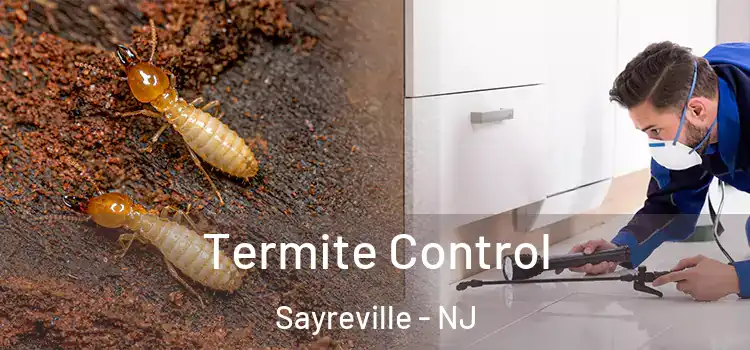  Termite Control Sayreville - NJ