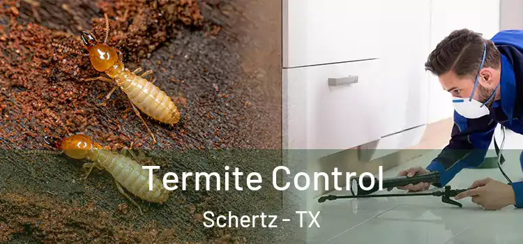 Termite Control Schertz - TX