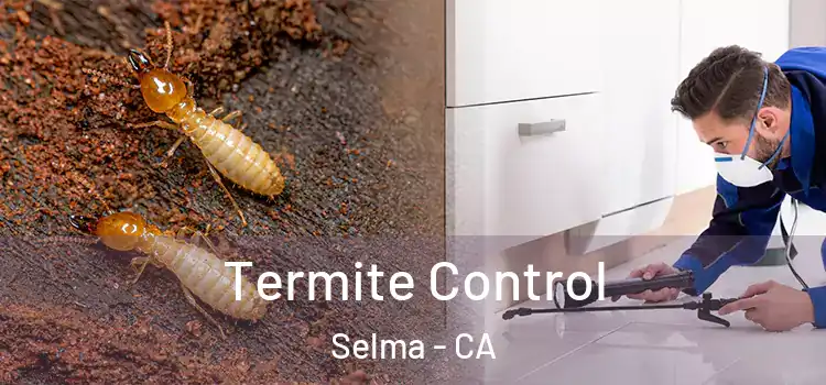  Termite Control Selma - CA