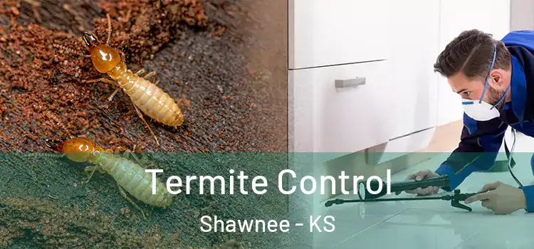 Termite Control Shawnee - KS
