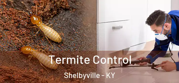  Termite Control Shelbyville - KY