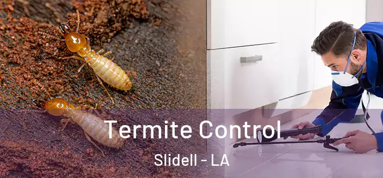 Termite Control Slidell - LA