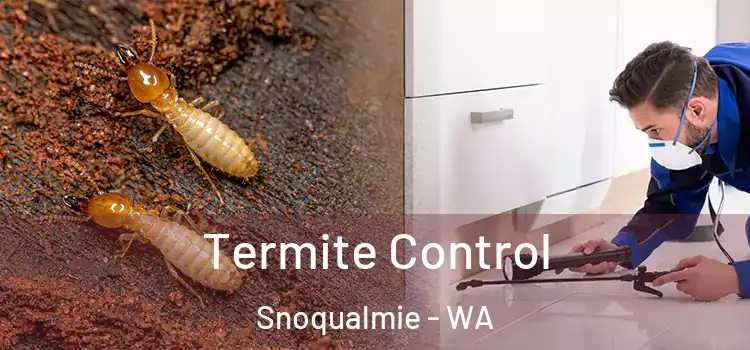  Termite Control Snoqualmie - WA