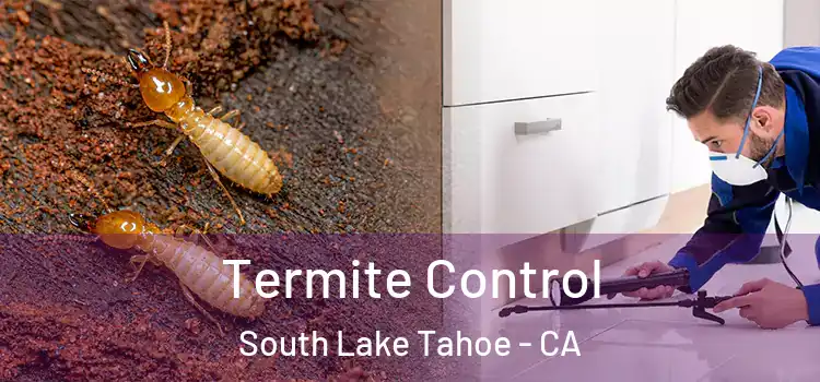  Termite Control South Lake Tahoe - CA