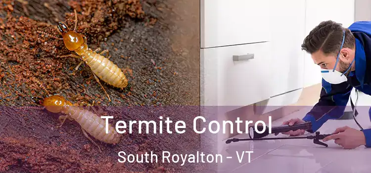  Termite Control South Royalton - VT