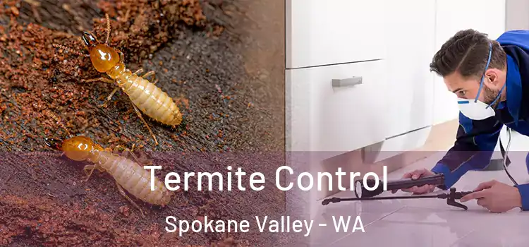  Termite Control Spokane Valley - WA