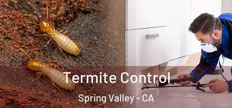  Termite Control Spring Valley - CA