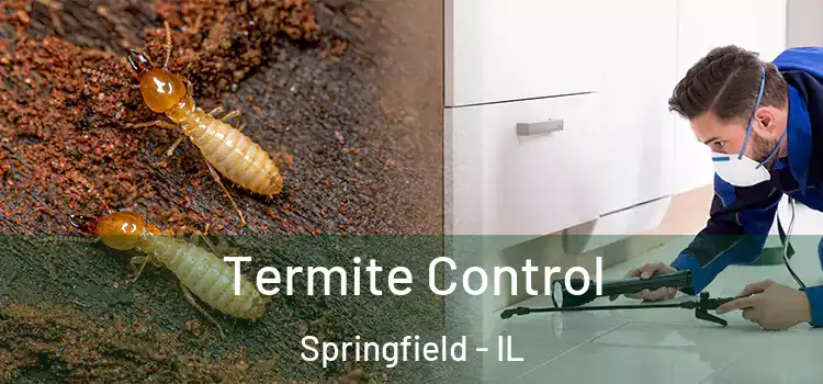  Termite Control Springfield - IL