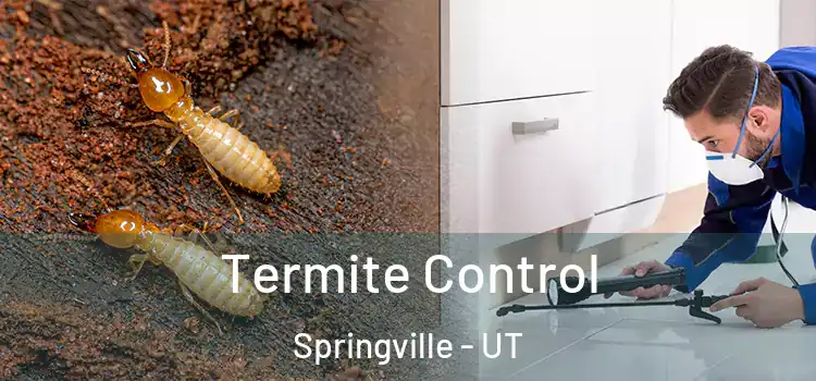  Termite Control Springville - UT