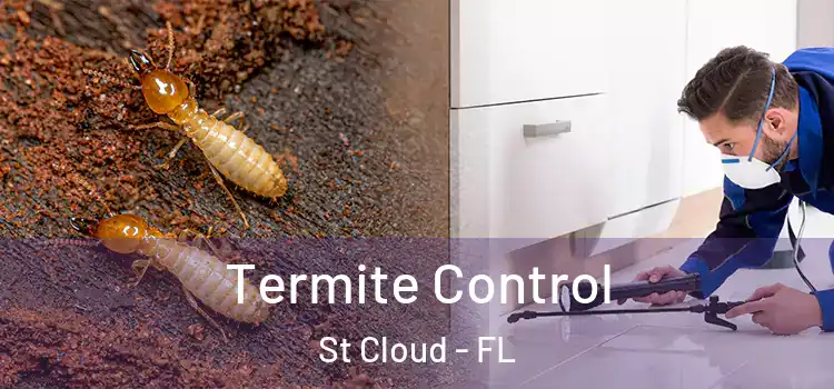  Termite Control St Cloud - FL