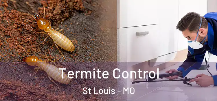  Termite Control St Louis - MO