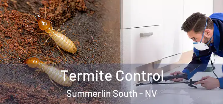  Termite Control Summerlin South - NV