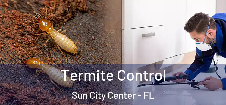  Termite Control Sun City Center - FL