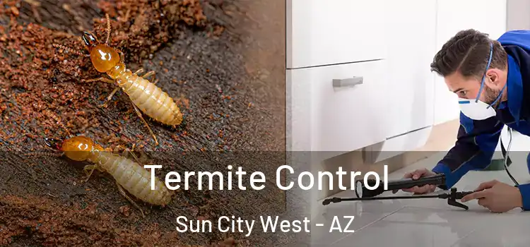  Termite Control Sun City West - AZ