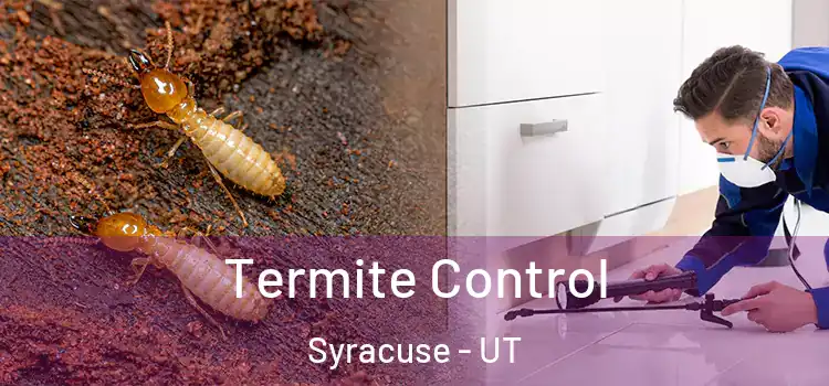  Termite Control Syracuse - UT
