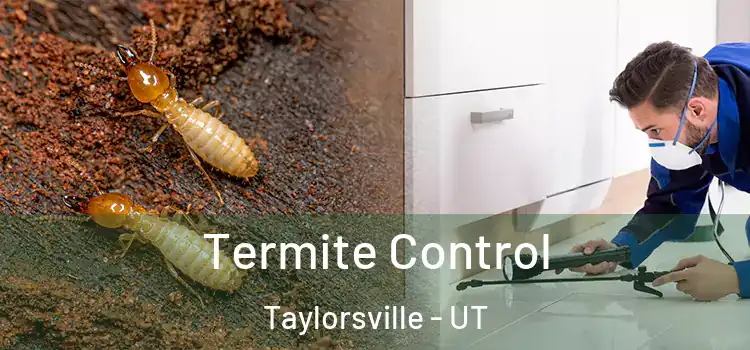  Termite Control Taylorsville - UT