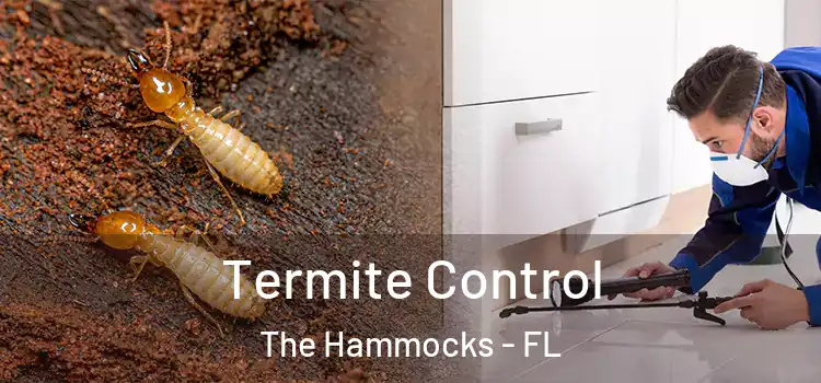 Termite Control The Hammocks - FL