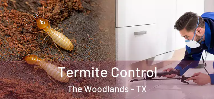Termite Control The Woodlands - TX