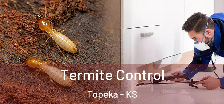 Termite Control Topeka - KS