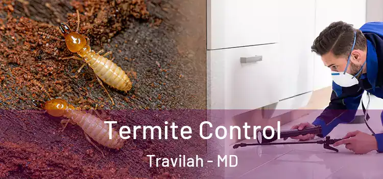  Termite Control Travilah - MD