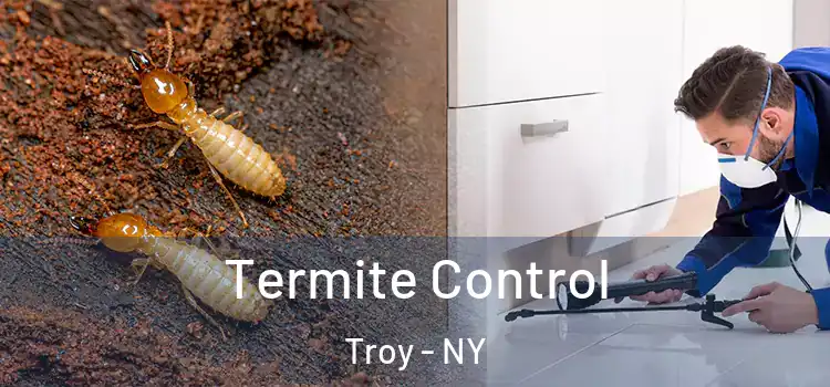  Termite Control Troy - NY