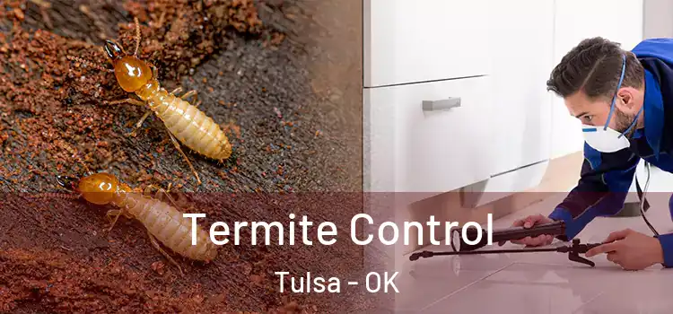  Termite Control Tulsa - OK