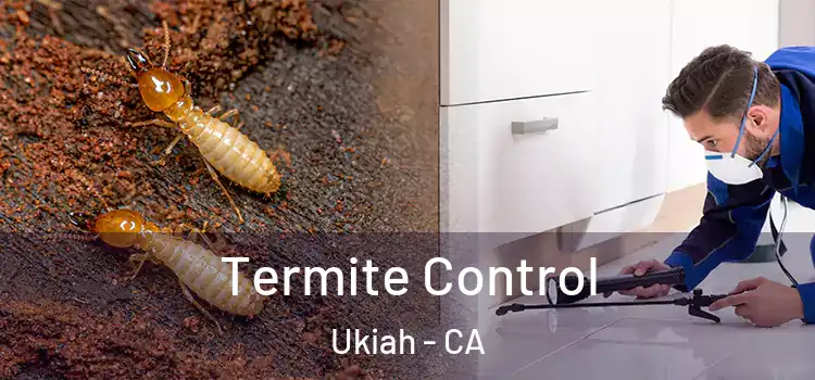  Termite Control Ukiah - CA