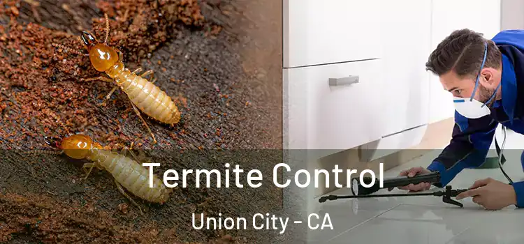  Termite Control Union City - CA