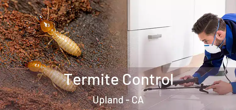 Termite Control Upland - CA