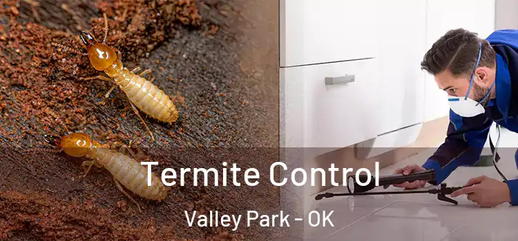 Termite Control Valley Park - OK