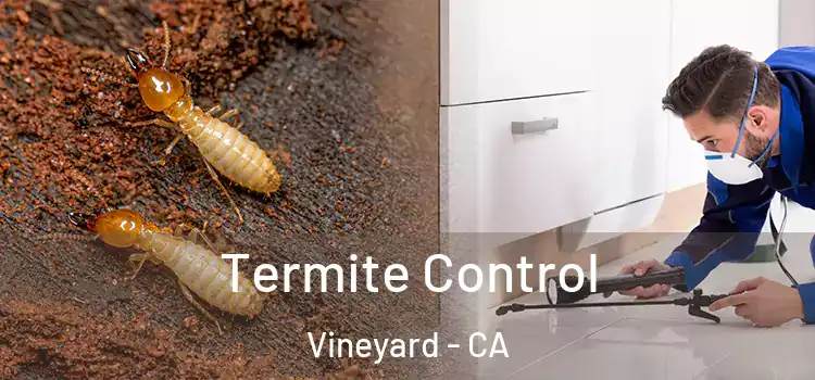  Termite Control Vineyard - CA