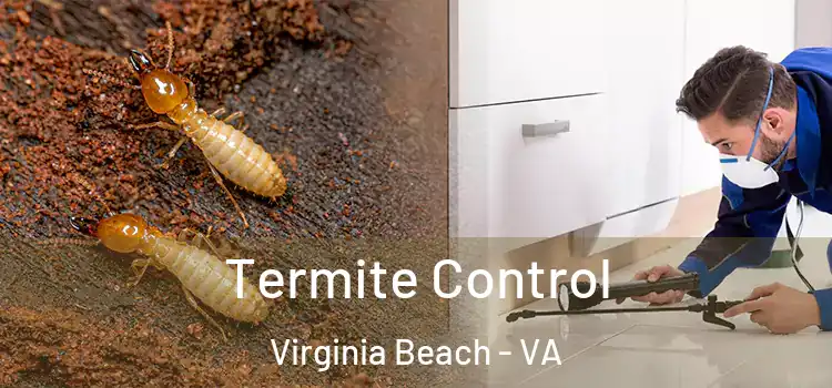Termite Control Virginia Beach - VA