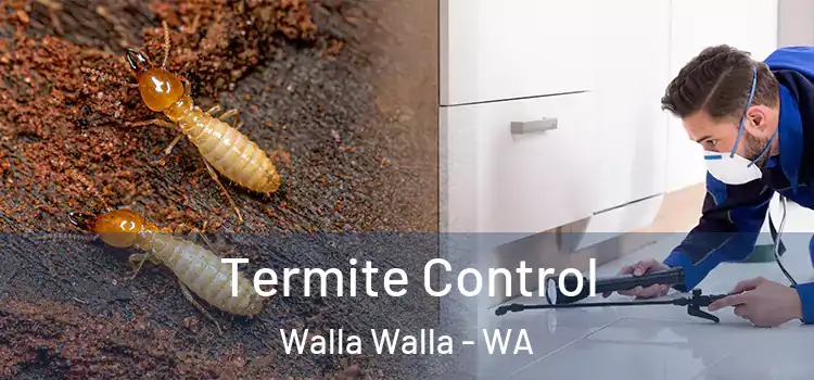  Termite Control Walla Walla - WA