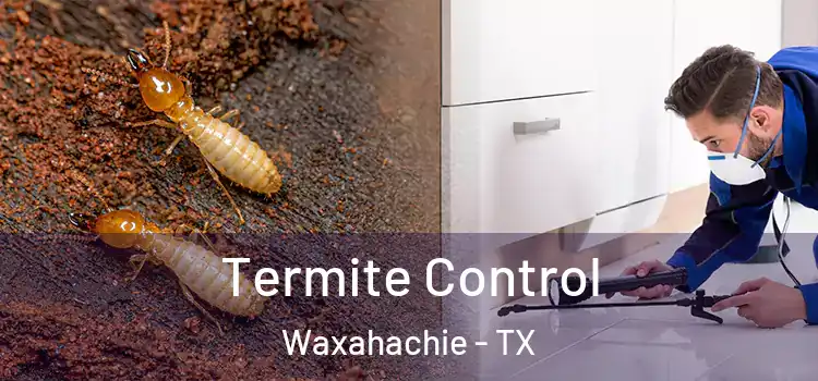  Termite Control Waxahachie - TX