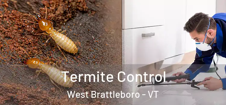 Termite Control West Brattleboro - VT