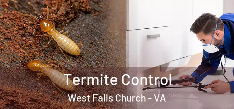  Termite Control West Falls Church - VA