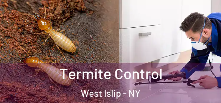  Termite Control West Islip - NY