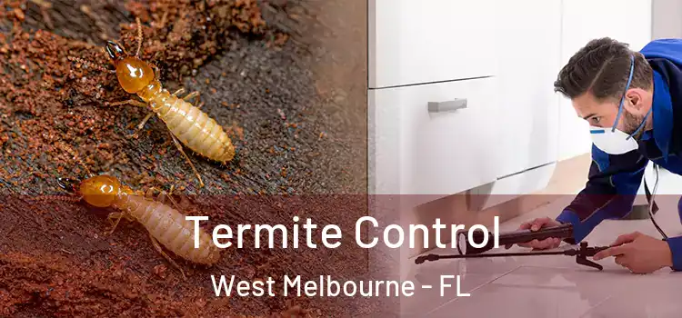  Termite Control West Melbourne - FL