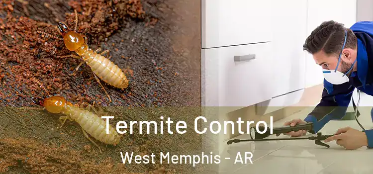 Termite Control West Memphis - AR