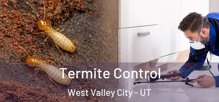  Termite Control West Valley City - UT