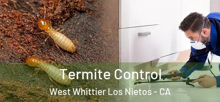 Termite Control West Whittier Los Nietos - CA