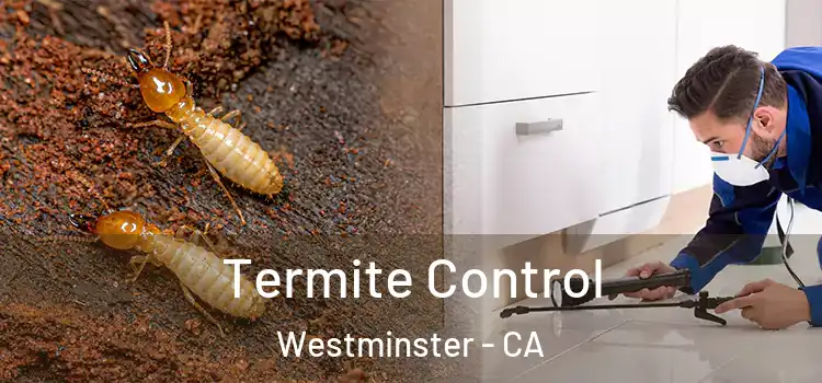 Termite Control Westminster - CA