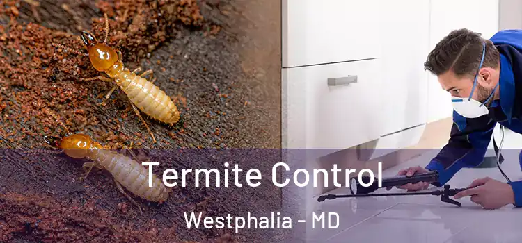  Termite Control Westphalia - MD