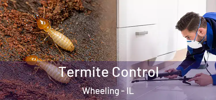 Termite Control Wheeling - IL