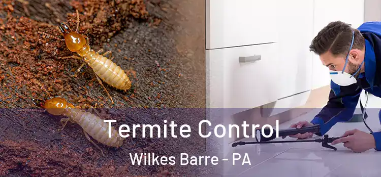  Termite Control Wilkes Barre - PA