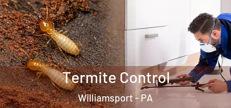  Termite Control Williamsport - PA